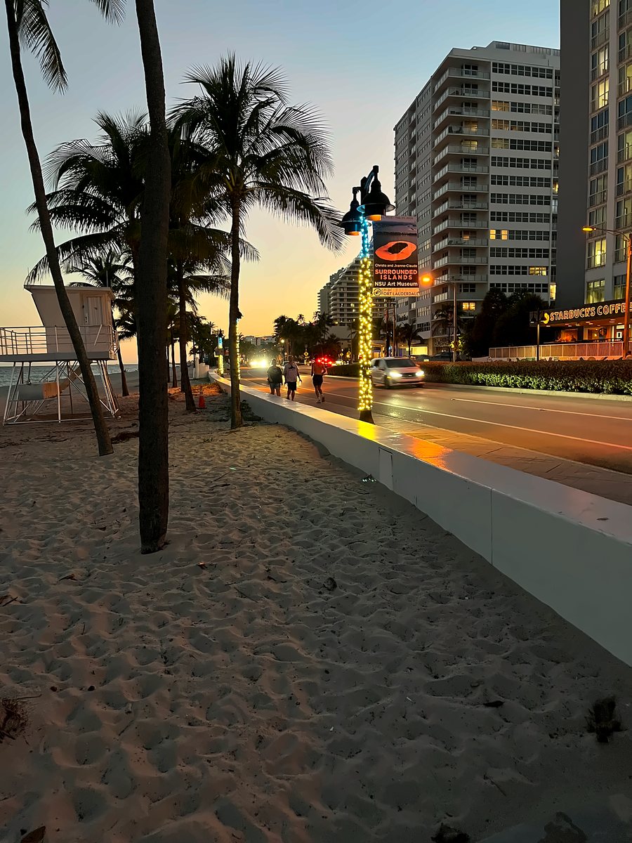 Costanera con palmeras al atardecer